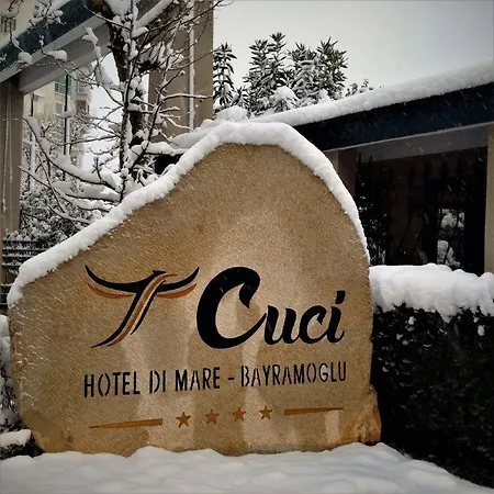 Cuci Di Mare Bayramoglu Darıca