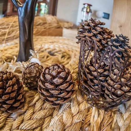 Cuci Di Mare Bayramoglu Darıca