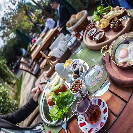 Cuci Di Mare Bayramoglu