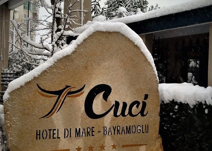 Cuci Di Mare Bayramoglu Darıca