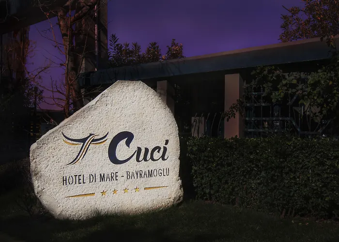 Cuci Di Mare Bayramoglu Hotel 4*