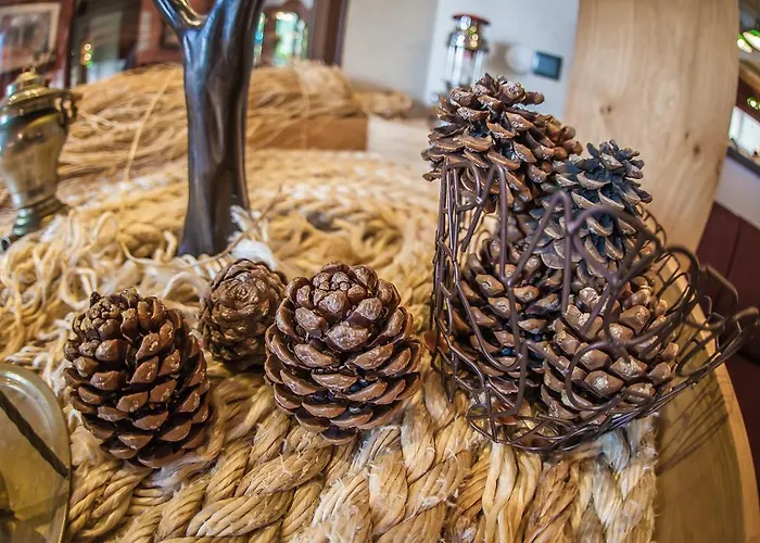 Cuci Di Mare Bayramoglu Darıca