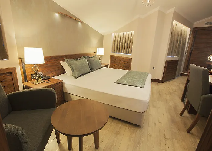 Cuci Di Mare Bayramoglu Darıca